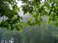 В четверг волжан снова ждет дождь