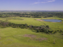 Оздоровление Волго-Ахтубинской поймы продолжится в 2022 году под Волжским
