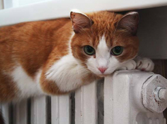 Волжский к отопительному сезону уже почти готов