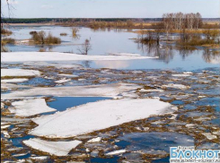 Студенты Волжского проверят ерики и озера Волго-Ахтубинской поймы