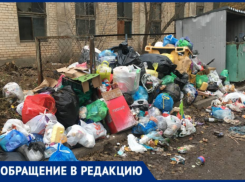 Свалка у общежития: волжане жалуются на антисанитарию и требуют контейнеры