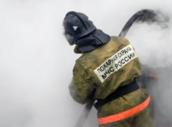 В Волгоградской области пироманы сожгли дачу