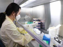 Главное о COVID-19 в Волгоградской области за 16 августа