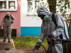 Частицы COVID-19 сохраняют жизнеспособность на поверхностях более 48 часов