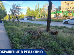 «Скоро все скроется в траве», - волжанка об улице Заводской