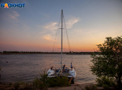 Божьих коровок во вторник в Волжском сдует ветром: прогноз погоды