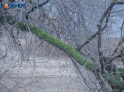 Звезды советуют волжанам расставлять приоритеты согласно интуиции: астрологический прогноз