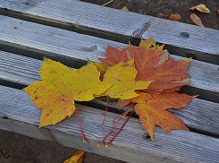 Пятница порадует волжан теплой погодой и выглядывающим солнышком 