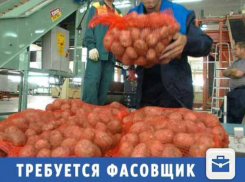Быстрого фасовщика ждут в отделе овощей в Волжском
