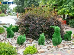 Не общайтесь с людьми, которые вызывают раздражение: советы волжской травницы