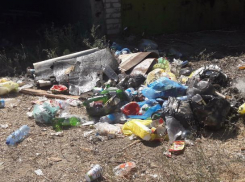 Стихийная свалка выросла на месте мусорных контейнеров на острове Зеленый