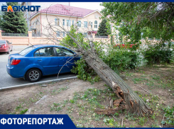 Последствия урагана в Волжском: фото