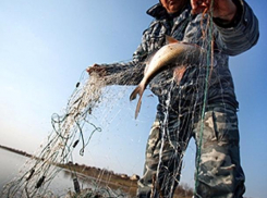 На рыбаков-браконьеров завели уголовное дело в Волжском