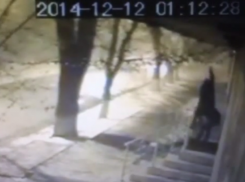 В Волгограде нетрезвые злоумышленники украли новогоднее украшение кафе Pakholkoff