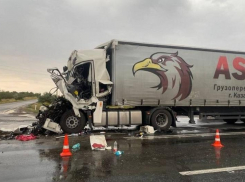 Жуткие фото с места столкновения двух грузовиков в Волгоградской области