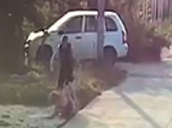 Появилось скандальное видео избиения мажором бедной соседки в Волжском 