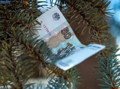 Житель Волжского стал жертвой мошенников