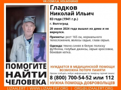 В Волгоградской области ищут пенсионера в серых кроссовках