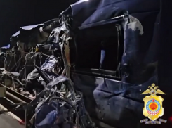 Жители Волгоградской области погибли и пострадали в лобовом столкновении микроавтобуса и грузовика Wildberries в Калмыкии