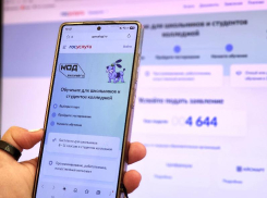 Более 100 бесплатных IT-курсов доступны волгоградским школьникам и студентам