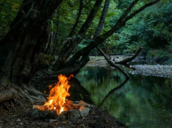 Введено ограничение на въезд и нахождение в лесах