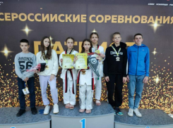 Всероссийские соревнования по тхэквондо принесло медали волжанам