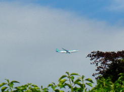 С комфортом из Волгограда. В расписании аэропорта четыре новых рейса