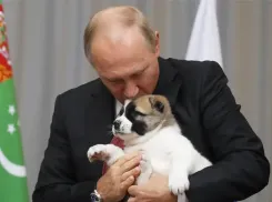 Владимиру Путину сегодня исполняется 74 года