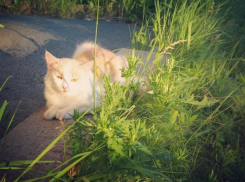 В последний день лета погода не балует жарой