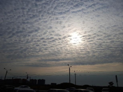 Утро пятницы будет морозным