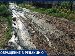 «Грязь по колено»: жители волжского СНТ утопают в бездорожье