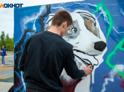 Волжских танцоров, художников и фанатов экстрима ждут на фестивале «Вневесомости»