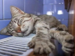 В Волжском перенесли  закрытие отопительного сезона