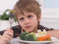 Что надо знать об организации питания в детском лагере