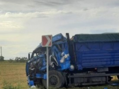 В Волгоградской области дальнобойщик пострадал в жутком лобовом столкновении двух фур