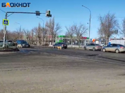 В Волжском появилась собака – регулировщик: видео