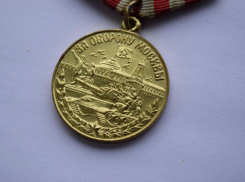 Волжским ветеранам вручили памятные награды