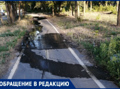 «Рисовые плантации» вместо пешеходной дорожки: канализационный утечка не дает прохода волжанам