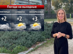 О погоде на выходных в Волжском из солнечной Барселоны