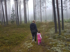 Малыша искали с кинологами и служебными собаками 