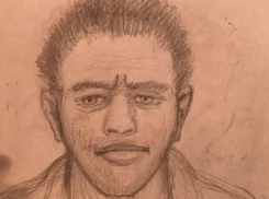 Следствие разыскивает насильника-педофила 