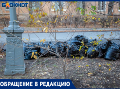 «Хожу по улице и собираю мусор»: волжанка бьет тревогу из-за нового эксперимента с отходами