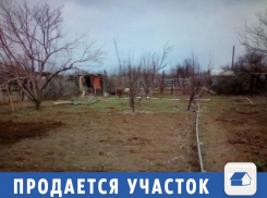 В СНТ «Лилия» продается участок около остановки и колонки