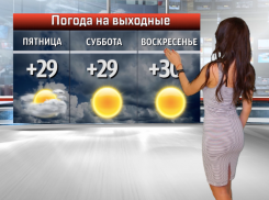 Лето снаружи, лето внутри! 