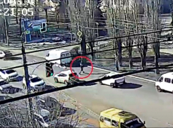 В Волжском водители спасали выбегавшего под машины котенка