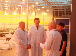 В Волжском ночное зарево «Овощевода» станет еще ярче после замены освещения