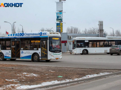  «На работу никто не выйдет»: в Волжском жители уверены, что отмена автобусов приведет к жесточайшему дорожному коллапсу