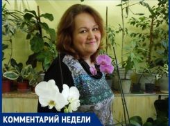 «Опасные пауки в Волжском есть», - Мария Севастьянова