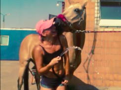 Сексуальная наездница из конно-спортивной школы в Волжском поделилась секретами шикарной фигуры