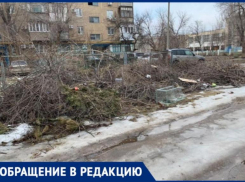 В Волжском горожане боятся больших пожаров из-за свалок сухостоя во дворах 